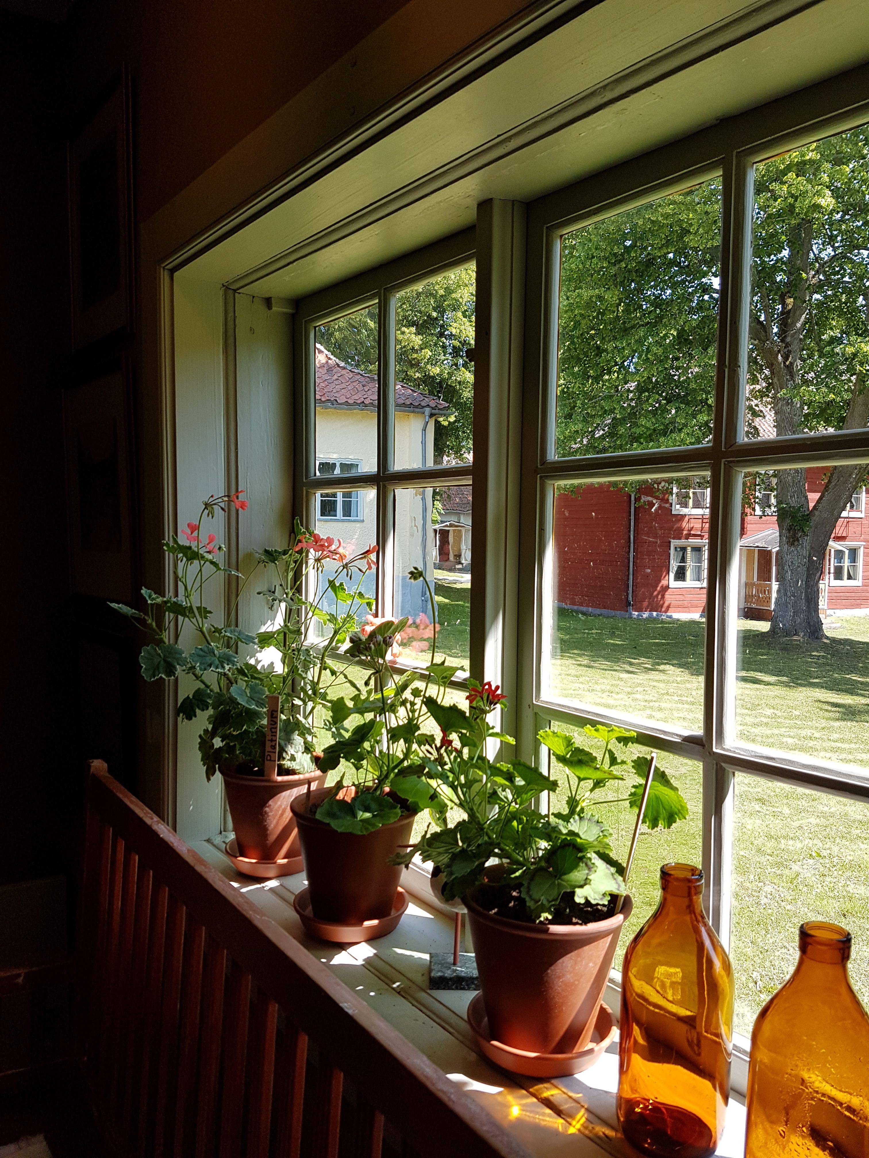 Småspröjsat fönster med pelargoner i lerkrukor. Utsikt över vackra gamla byggnader på Medevi Brunn.
